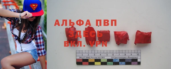 дживик Богородицк