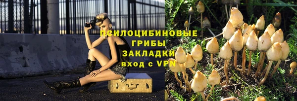 дживик Богородицк