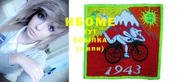 дживик Богородицк