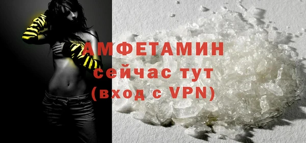 гидра Белокуриха